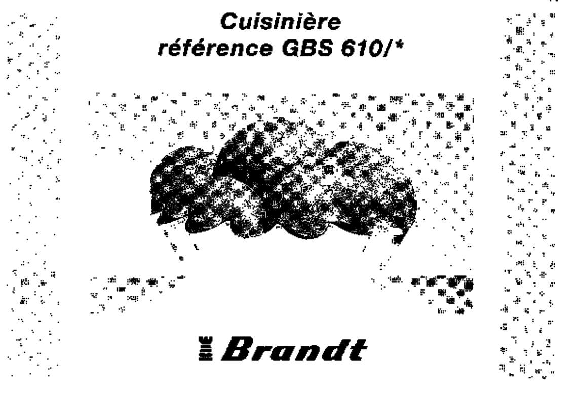 Guide utilisation BRANDT GBS610 de la marque BRANDT