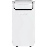 ROWENTA Intense Cool AU4010F0 - Acondicionador de aire