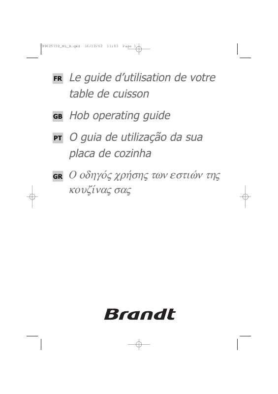 Guide utilisation BRANDT TE318WU1 de la marque BRANDT