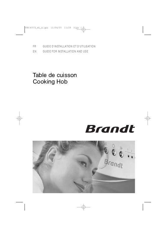 Guide utilisation BRANDT TE541WF1 de la marque BRANDT