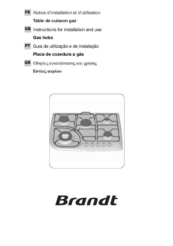 Guide utilisation BRANDT TE576XS1 de la marque BRANDT