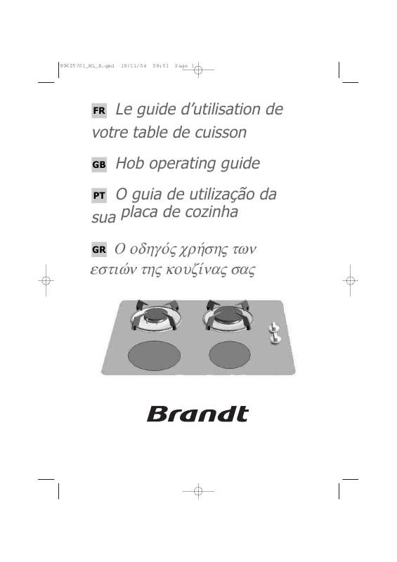Guide utilisation BRANDT TI213BS1 de la marque BRANDT