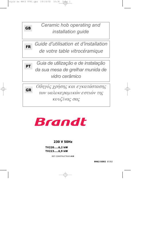 Guide utilisation BRANDT TV220BS1 de la marque BRANDT
