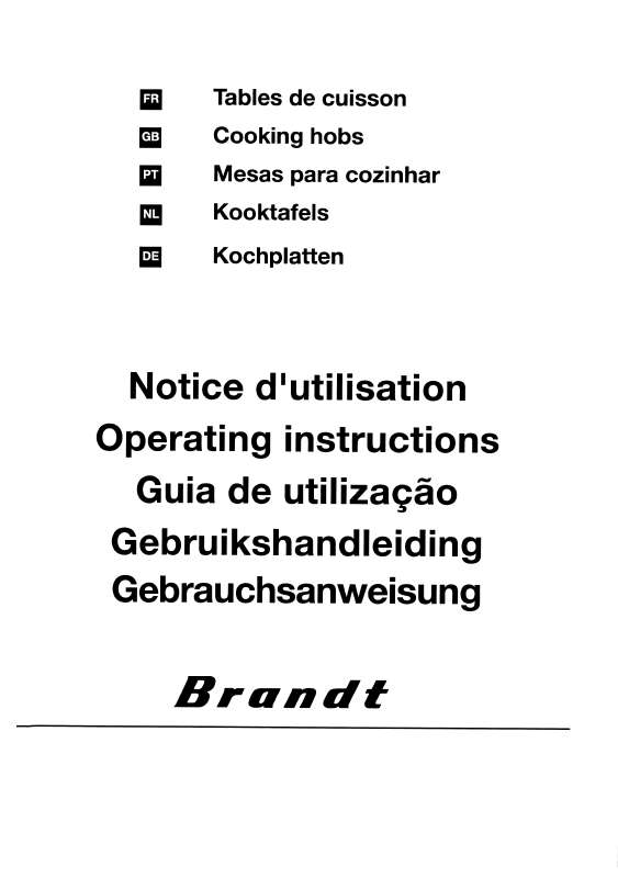 Guide utilisation BRANDT BGSV60B de la marque BRANDT