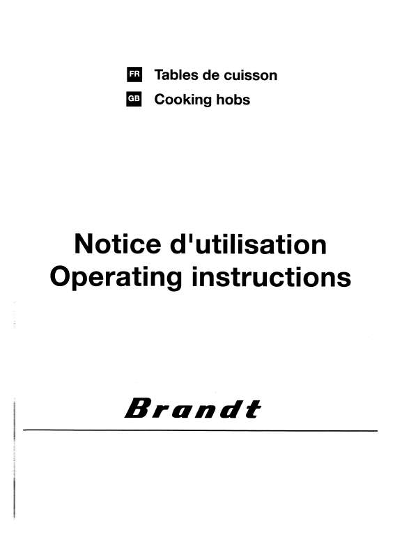 Guide utilisation BRANDT BIG60B de la marque BRANDT