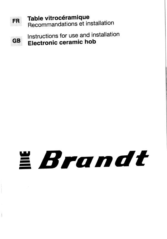 Guide utilisation BRANDT BV60W de la marque BRANDT