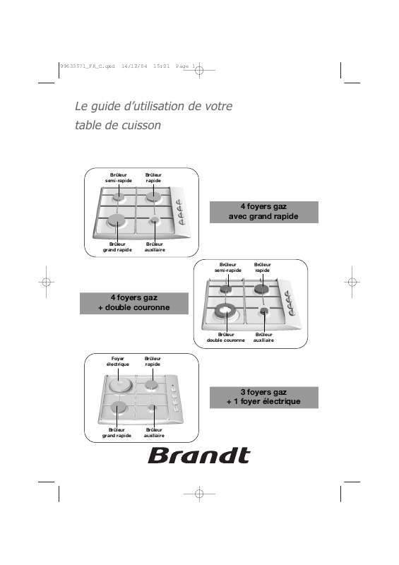 Guide utilisation BRANDT TE516XS1 de la marque BRANDT