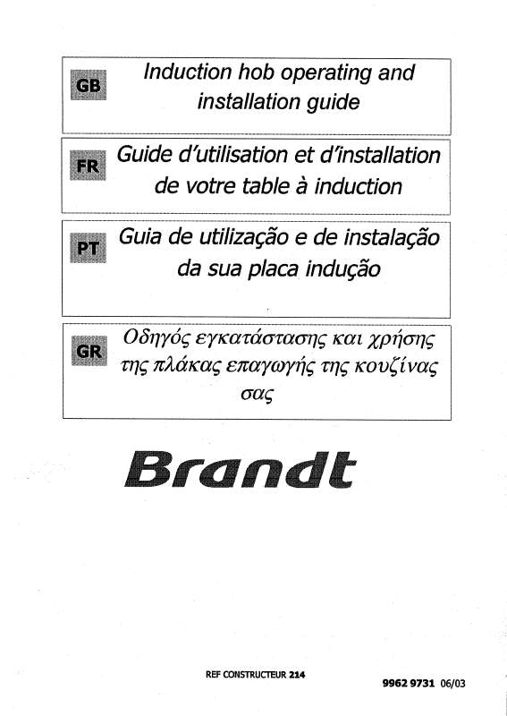 Guide utilisation BRANDT TI300BS1 de la marque BRANDT