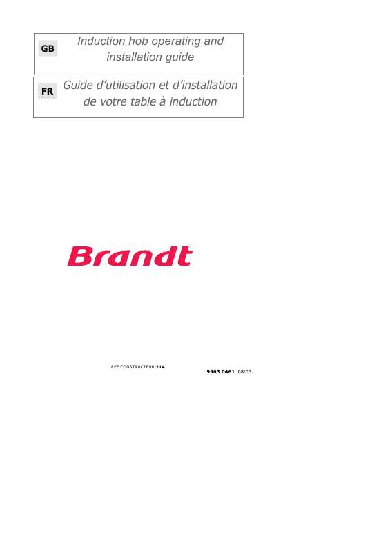 Guide utilisation BRANDT TI302BS1 de la marque BRANDT