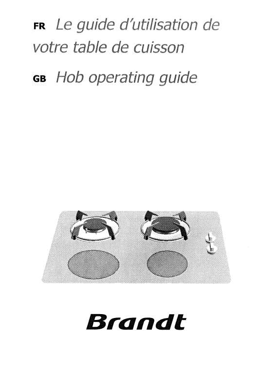 Guide utilisation BRANDT TI313 de la marque BRANDT