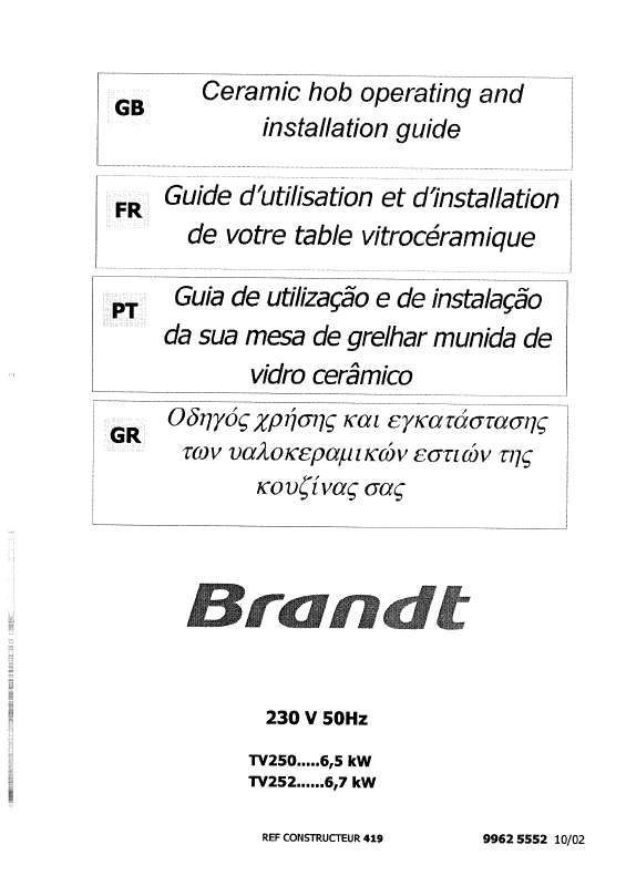 Guide utilisation BRANDT TV250XT1 de la marque BRANDT