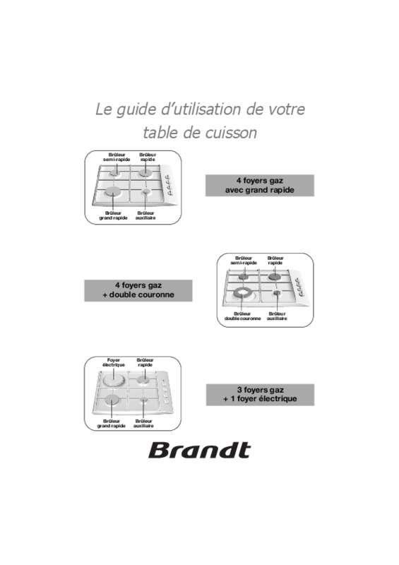 Guide utilisation BRANDT TE212BF1 de la marque BRANDT