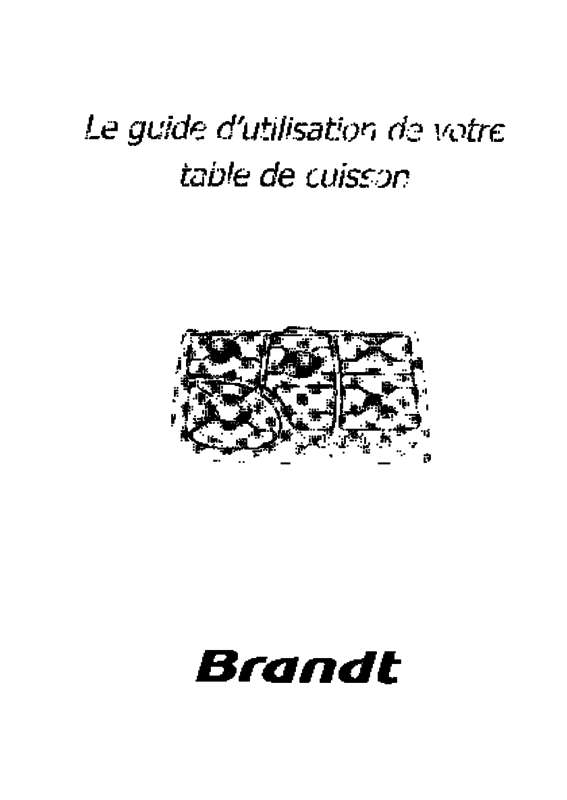 Guide utilisation BRANDT TE270BF1 de la marque BRANDT