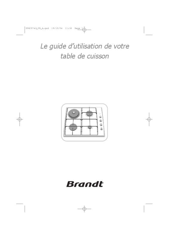 Guide utilisation BRANDT TE343WF1 de la marque BRANDT
