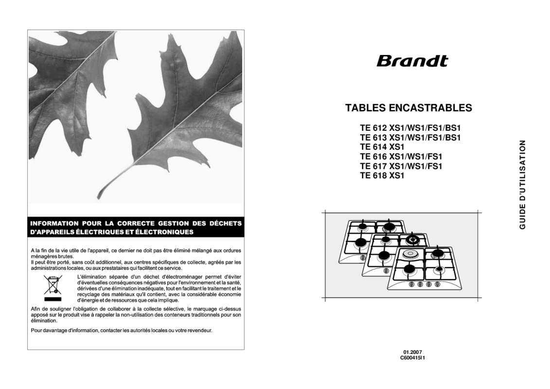 Guide utilisation BRANDT TE612BS1 de la marque BRANDT