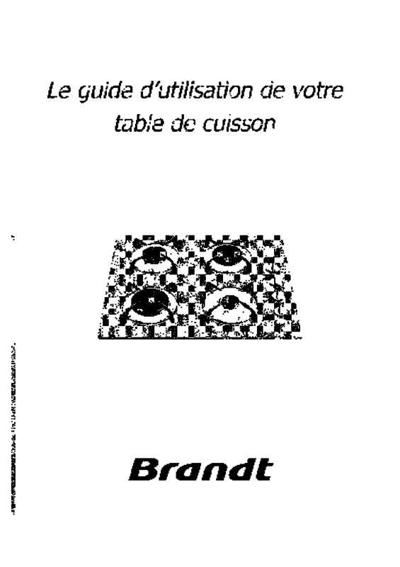 Guide utilisation BRANDT TG200BF1 de la marque BRANDT