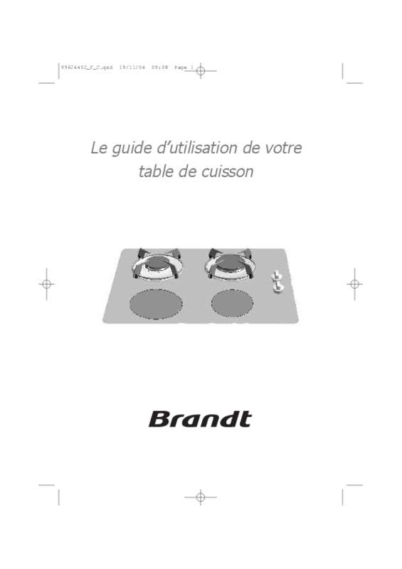 Guide utilisation BRANDT TI213BF1 de la marque BRANDT