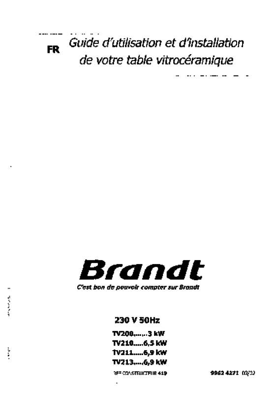 Guide utilisation BRANDT TV213BT1 de la marque BRANDT