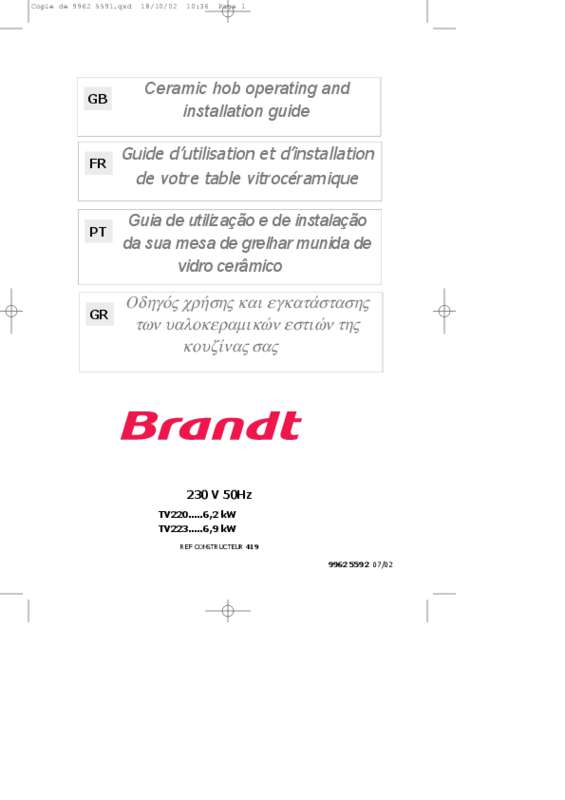 Guide utilisation BRANDT TV220XS1 de la marque BRANDT
