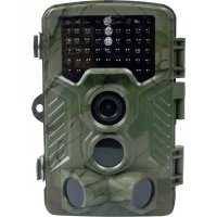 31646 Berger & Schröter