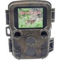 31881 Berger & Schröter