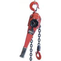 Berger & Schröter 60318 - Palan à chaîne