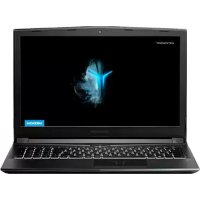MEDION ERAZER P6605 (MD 61363) - Netbook
