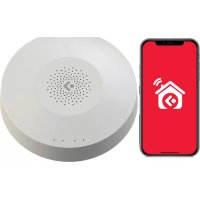 Smart Hub FS2SH Ferguson