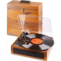 Fenton RP170L - Platine_disque