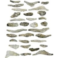 Woodland Scenics C1141 - Maquettisme