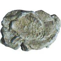 Woodland Scenics C1237 - Maquettisme