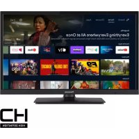 Notice PANASONIC TX24MS480E Televizor