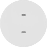 HAGER 80161869 - Interrupteur électrique