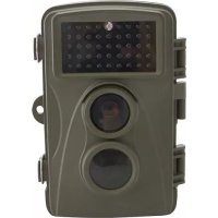 31647 Berger & Schröter