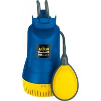 Notice EINHELL ROYAL N-TMP-R400 Pompe de surface
