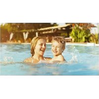 Notice DAB E.SWIM 300 M Pompe à eau