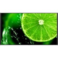 NEC MultiSync E758 - Moniteur