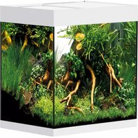 Notice OASE STYLELINE 85 Acquario