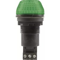 Auer Signal IBS 800506405 - Non catégorisé