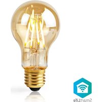 Notice NEDIS WIFILF10GDA60 Éclairage