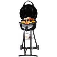 Notice TRISA BBQ STAR 7596.42 Plaque de grill