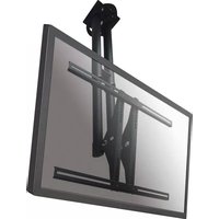 PLASMA-C100BLACK Newstar