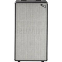 Notice FENDER BASSMAN 810 NEO Enceinte acoustique