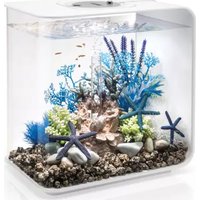 OASE biOrb FLOW 30 - Aquarium