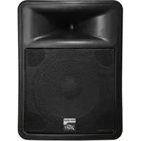 PR 15D PEAVEY