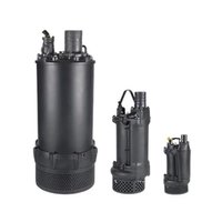 Grundfos DWK - Pompe à eau