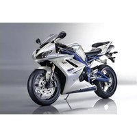 Daytona 675 SE (2010) TRIUMPH