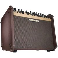 Loudbox Artist Fishman