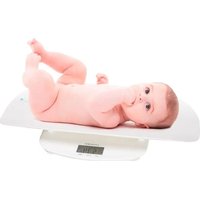 Evolutive Scale LANAFORM