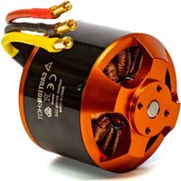 SPEKTRUM Avian 6362-200Kv - Jouet radiocommandé